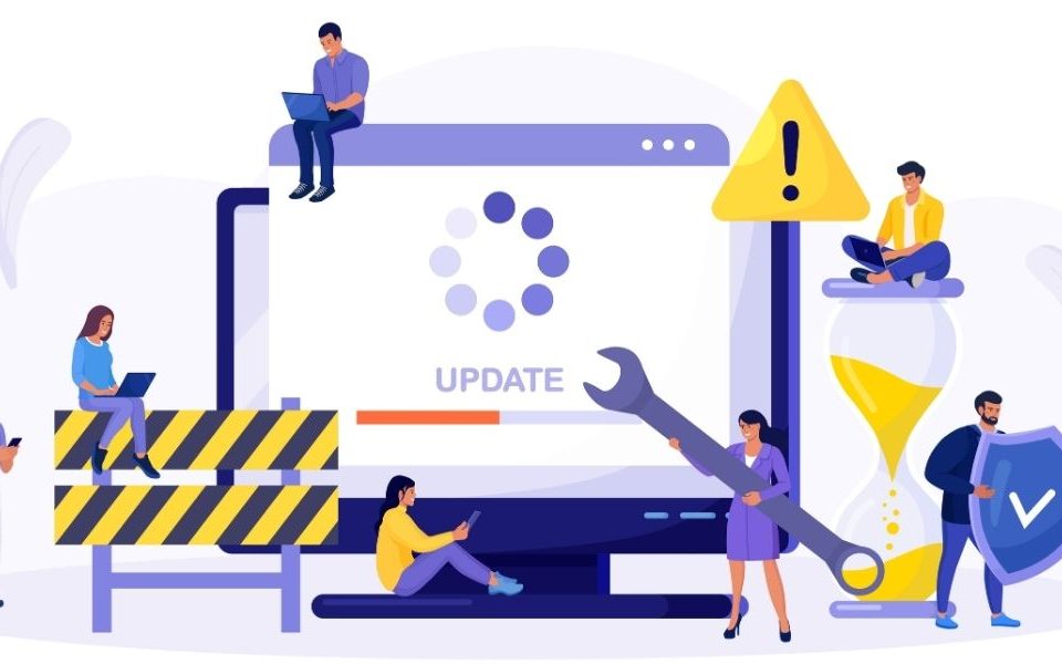 Why Enterprise Software Projects Fail