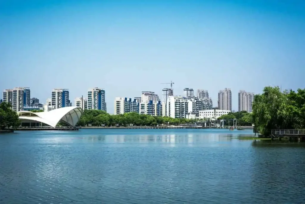 odc in india for brisbane business